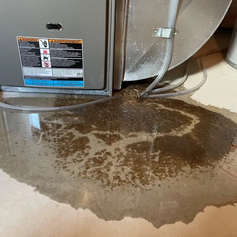 Appliance Leak Cleanup in Bridgeport, AL